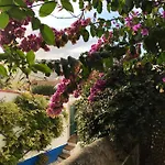 Casa Picva 게스트하우스 3*