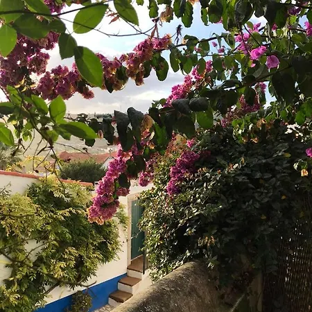 Casa Picva בית הארחה *