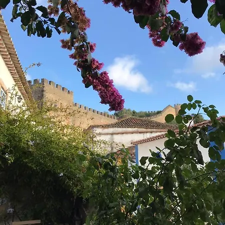 Casa Picva בית הארחה *