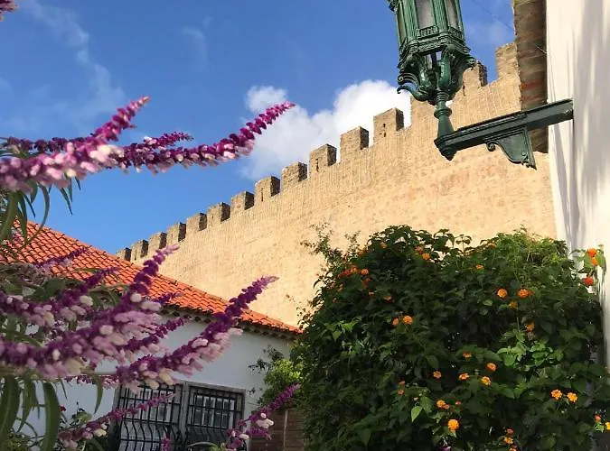 Гостевой дом Casa Picva Обидуш