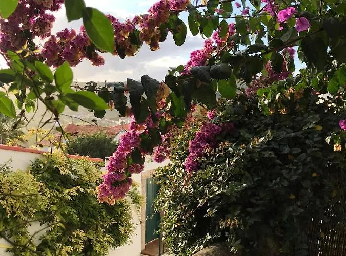 Casa Picva Гостевой дом 3*